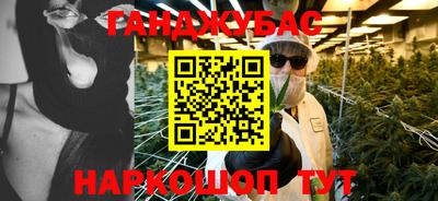 крисы Новозыбков