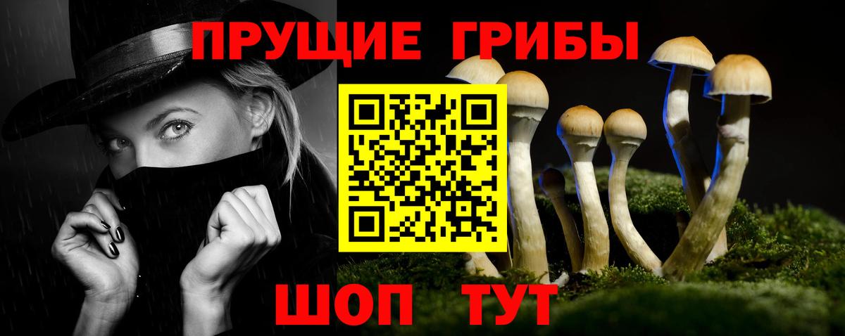 Псилоцибиновые грибы Magic Shrooms  Галлюциногенные грибы GOLDEN TEACHER  Вход с VPN  Петропавловск-Камчатский 